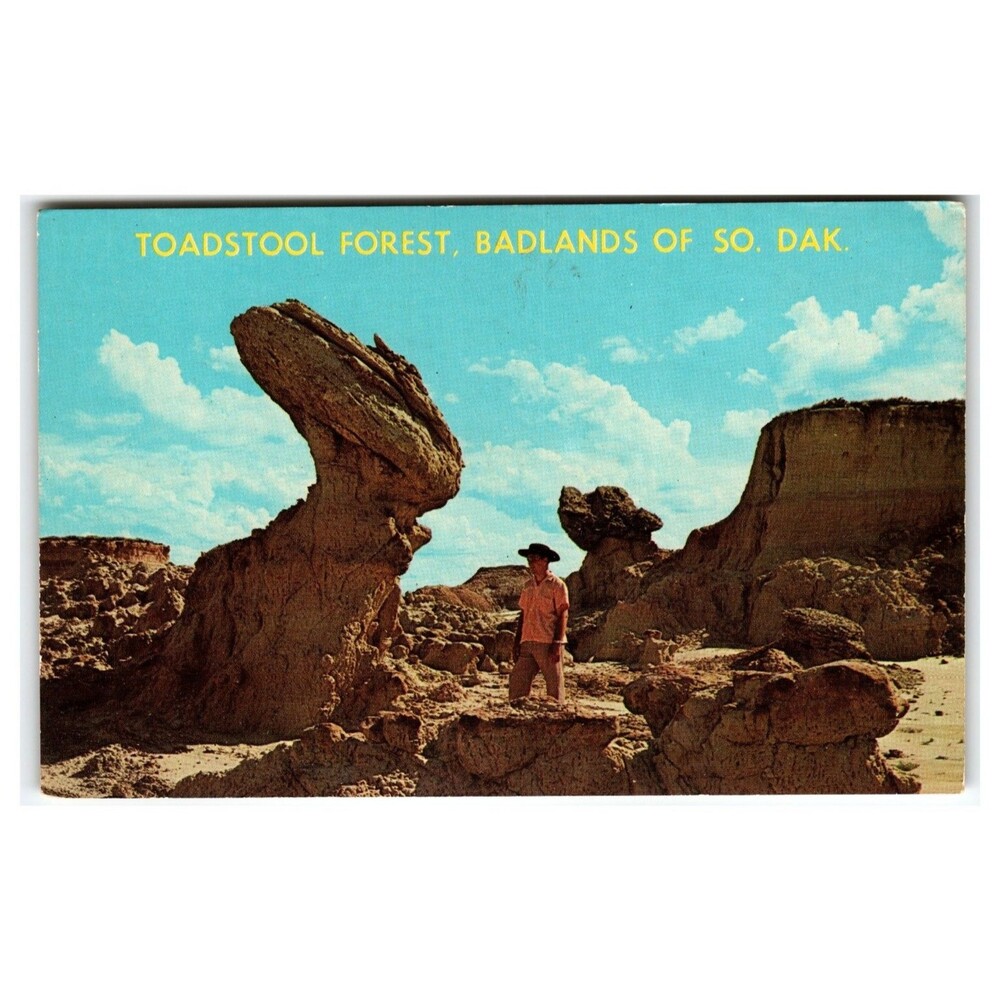 Toadstool Forest Badlands South Dakota Vintage Chrome Postcard Landscape